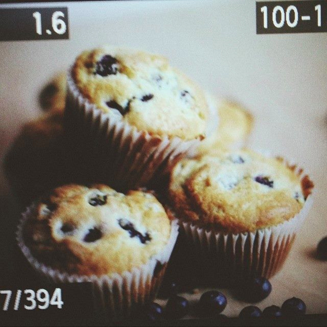 muffin pic