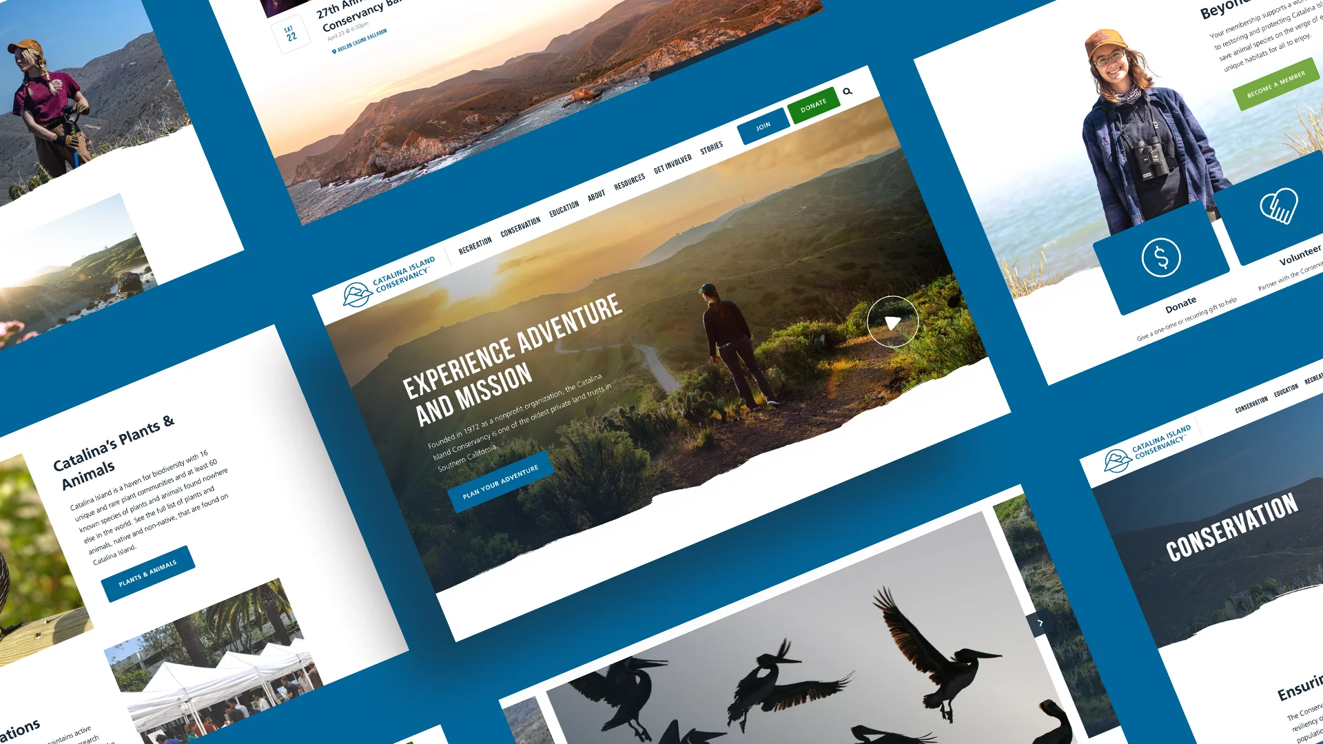 Catalina Island Conservancy website mockups