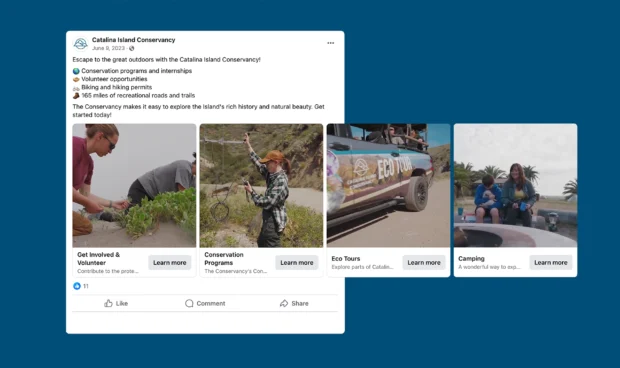 Catalina Island Conservancy social post mockup