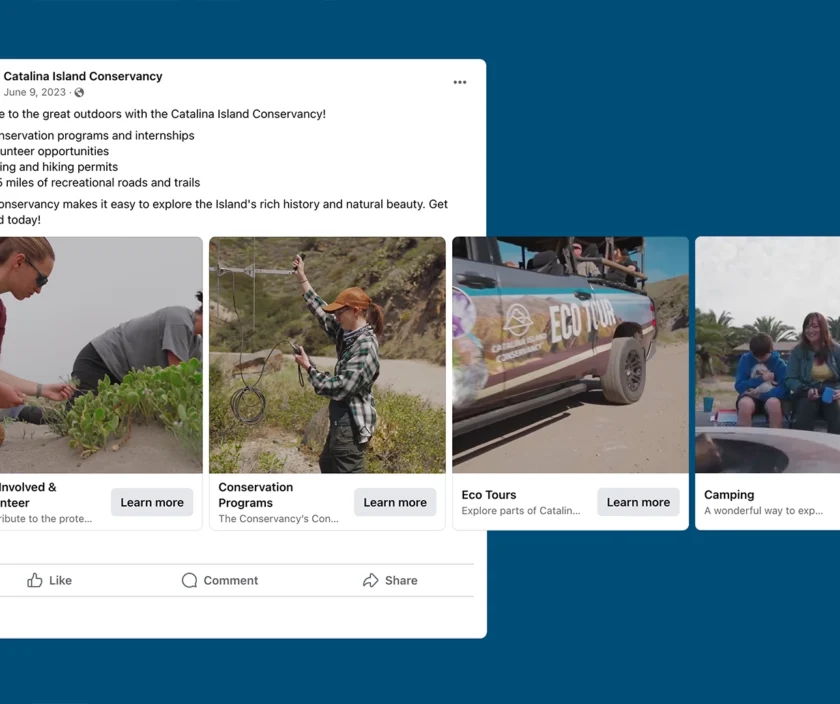 Catalina Island Conservancy social post mockup