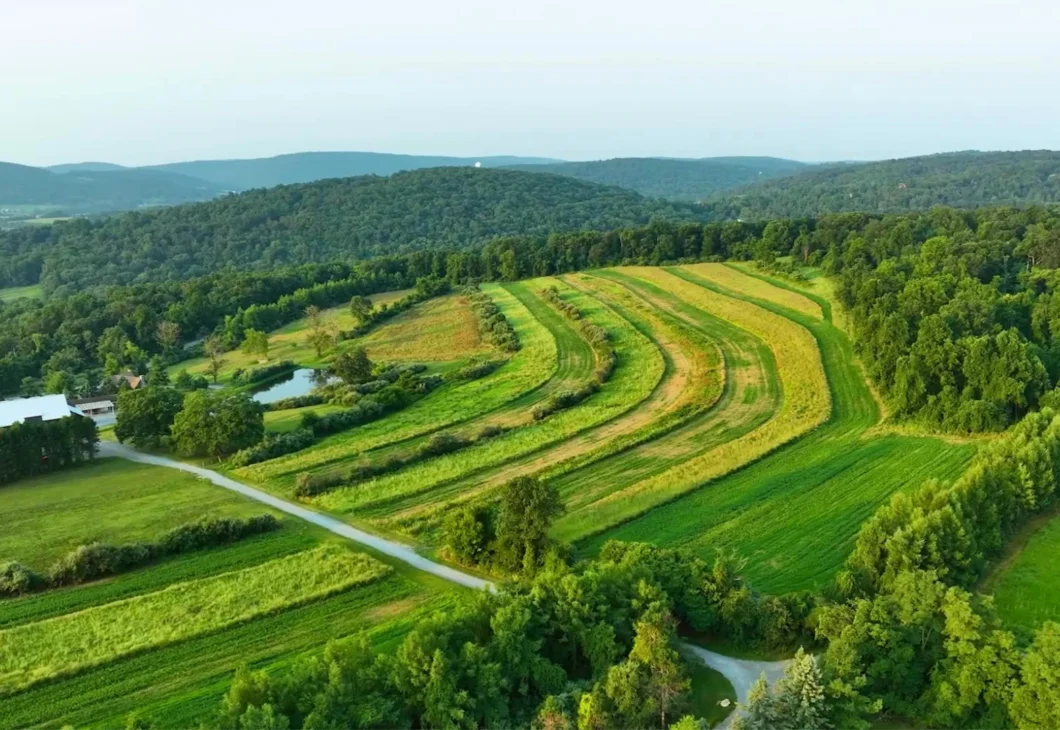 Aerial view of rolling green hills with terraced fields and a farm building with two ponds.