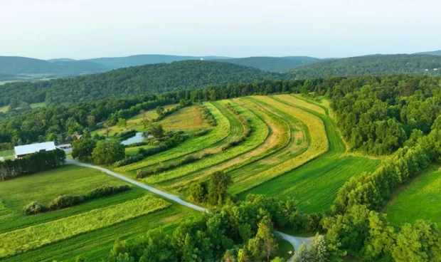 Aerial view of rolling green hills with terraced fields and a farm building with two ponds.