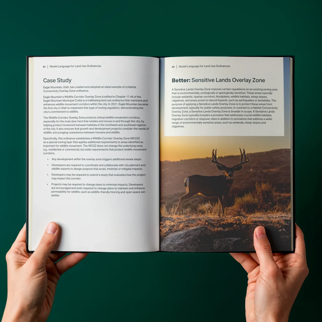 Wildlands Network Utah Guide