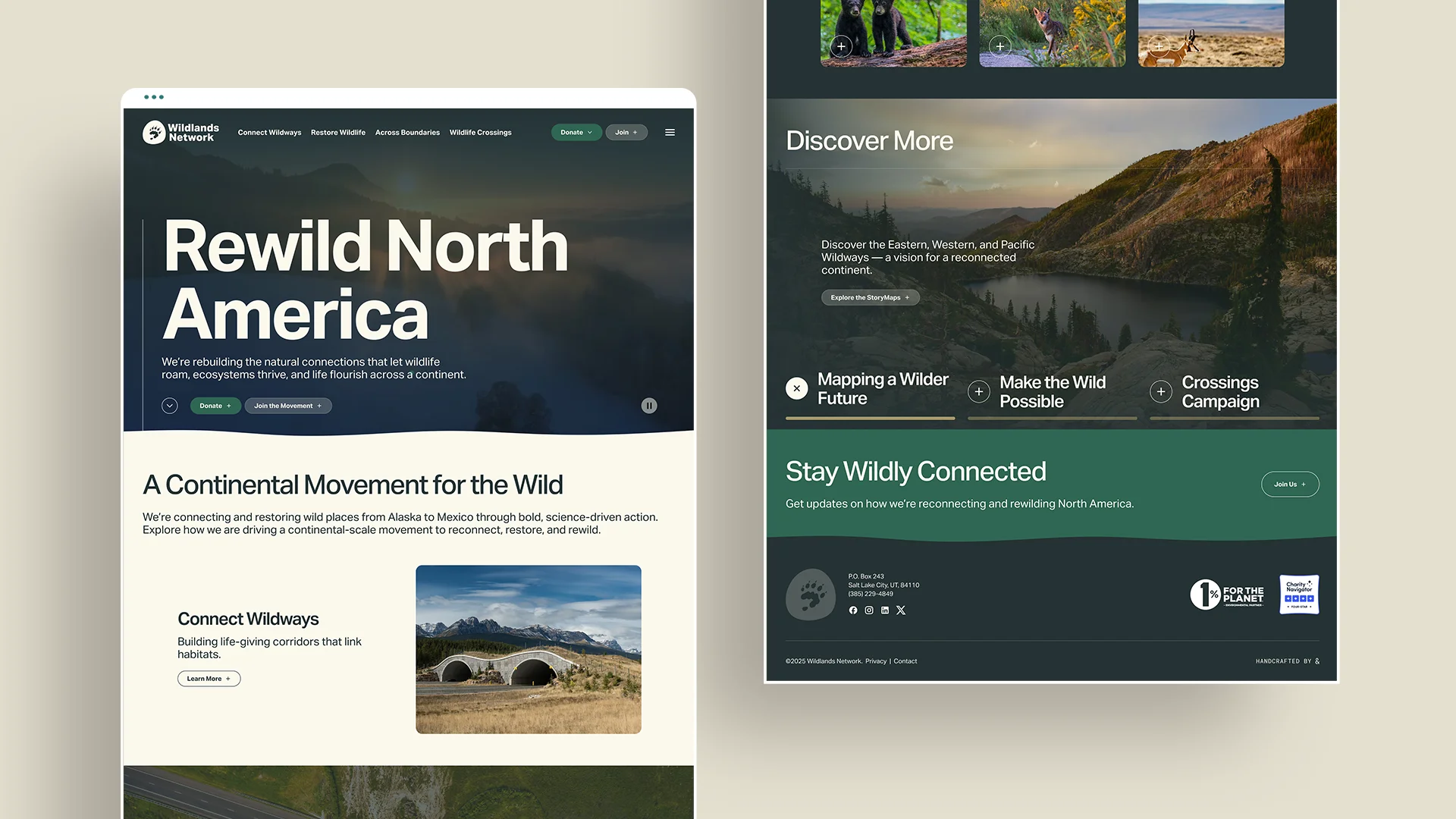 Wildlands Network desktop mockups
