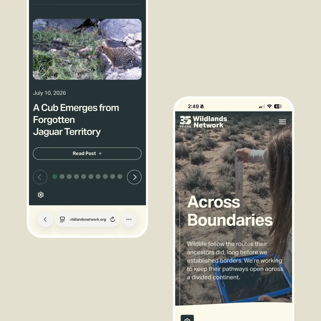 Wildlands Network mobile mockups