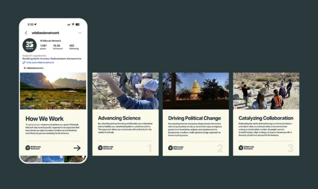 Wildlands Network Digital marketing