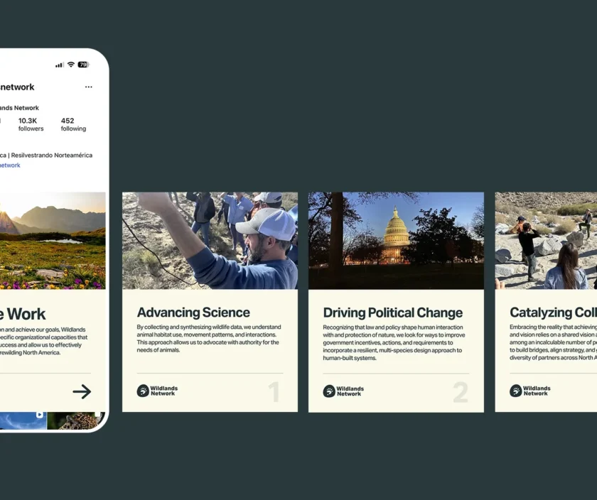 Wildlands Network Digital marketing